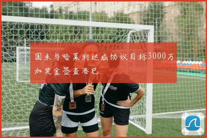 国米与哈莱利达成协议目标3000万加奖金签查洛巴